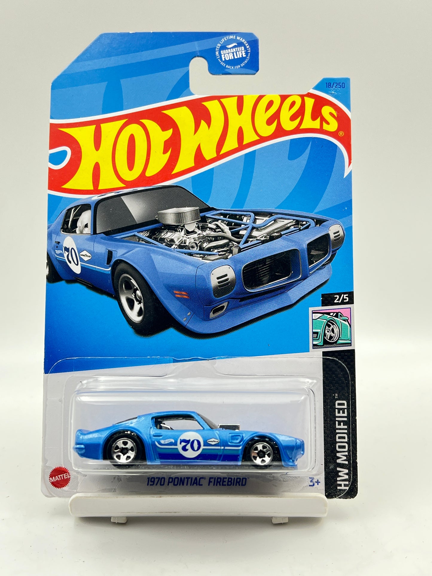 BLISTER CRACK - 1970 PONTIAC FIREBIRD - 2F
